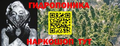 амф Дубна
