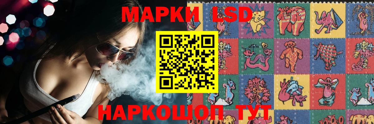 ЛСД экстази ecstasy Камышлов