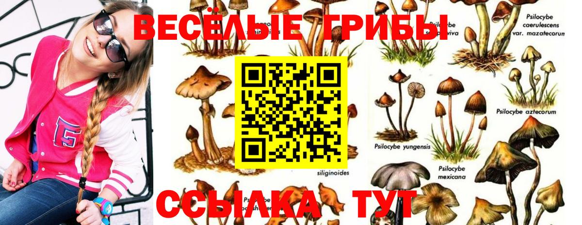 Галлюциногенные грибы Magic Shrooms Камышлов