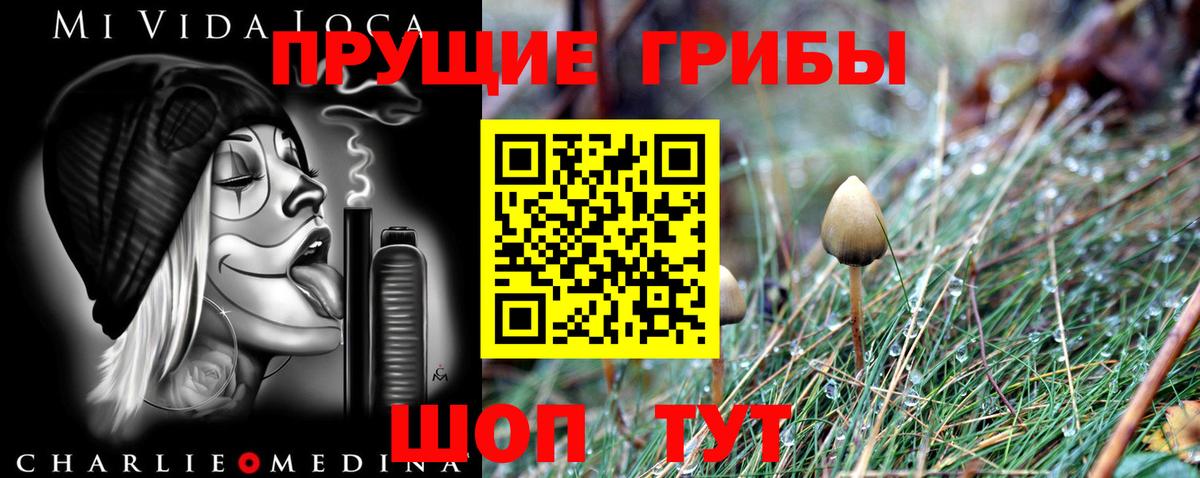 Псилоцибиновые грибы GOLDEN TEACHER  Вход с VPN  Камышлов  Псилоцибиновые грибы Magic Shrooms 